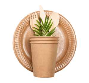 Biodegradable Cutlery