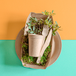 Organic/Compostable Cutlery